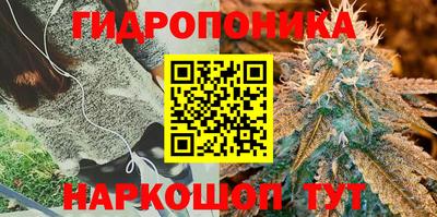 кокс Будённовск