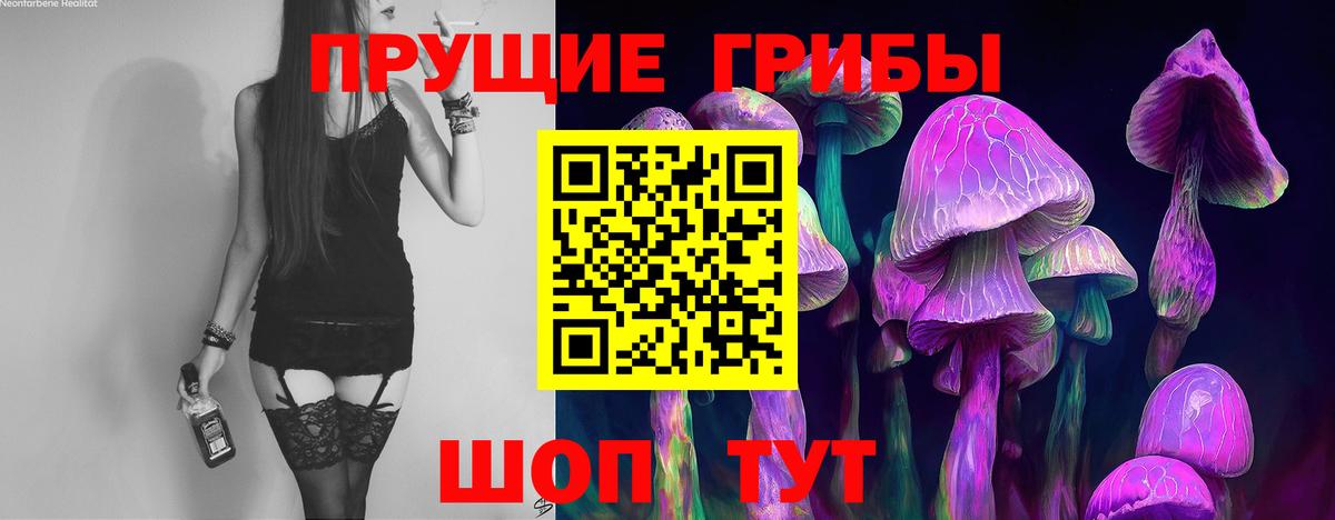 Псилоцибиновые грибы MAGIC MUSHROOMS Ногинск